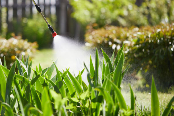 24/7 Emergency Mosquito Control experts in Cambridge City, IN